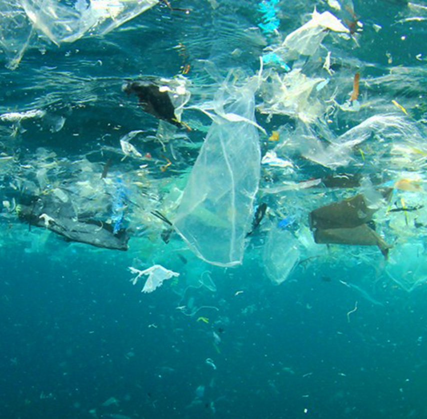 ocean plastic pollution