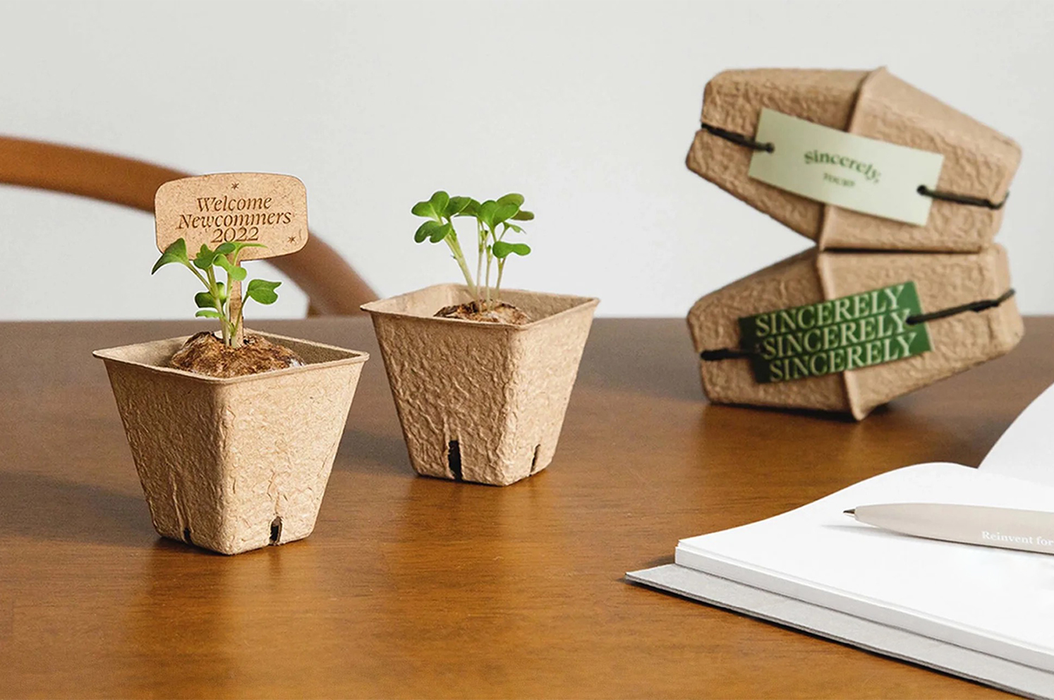 Biodegradable plant packaging box