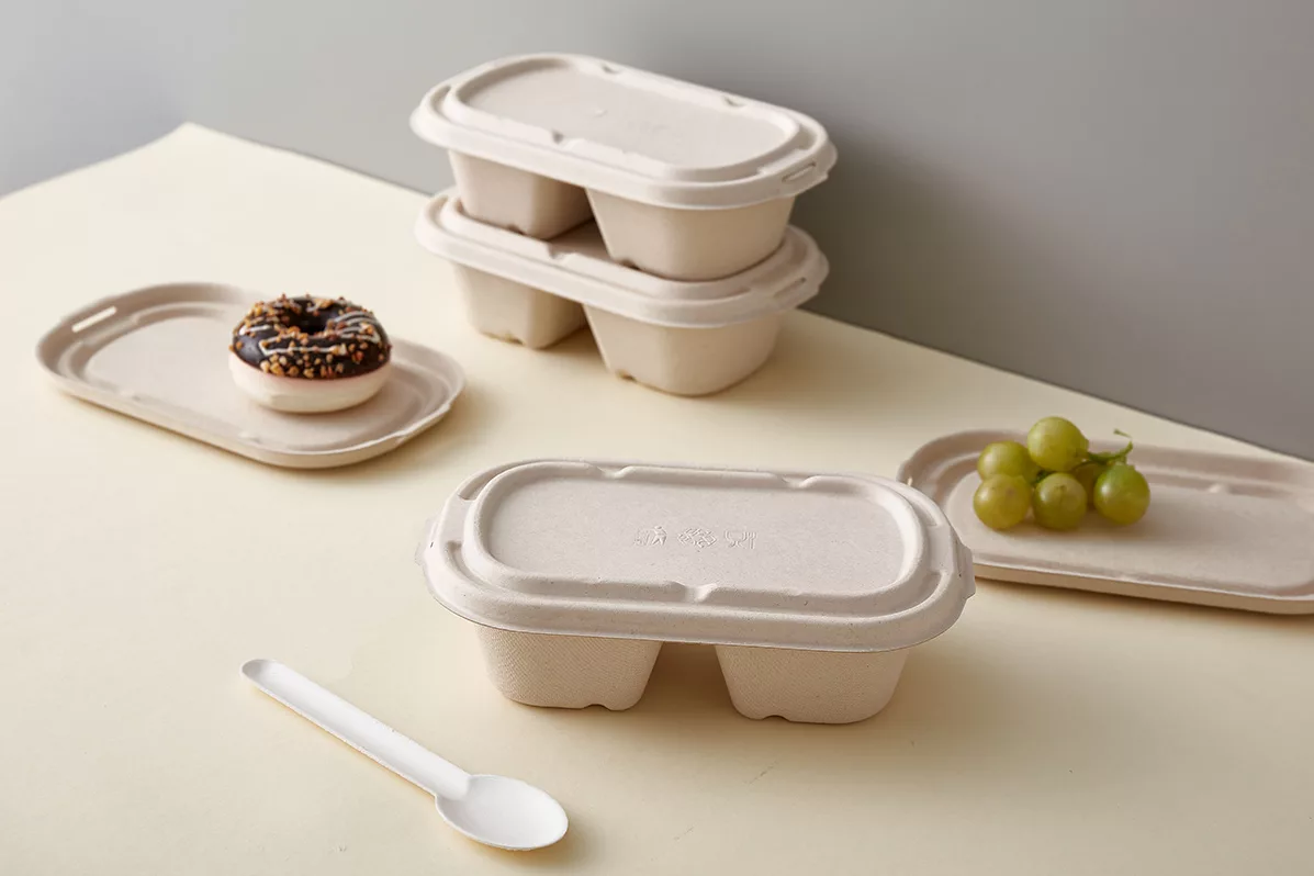 Compostable Takeaway Boxes