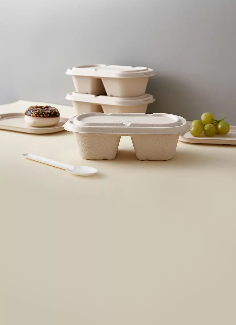 Compostable Hamburger Boxes & Takeaway Boxes Banner