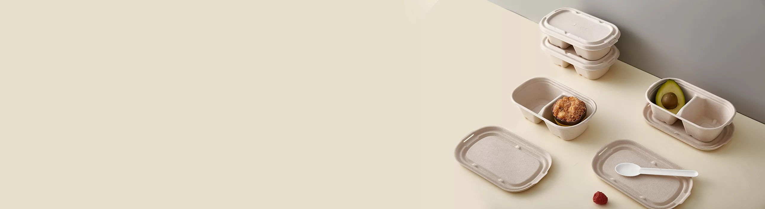 Compostable Hamburger Boxes & Takeaway Boxes Banner