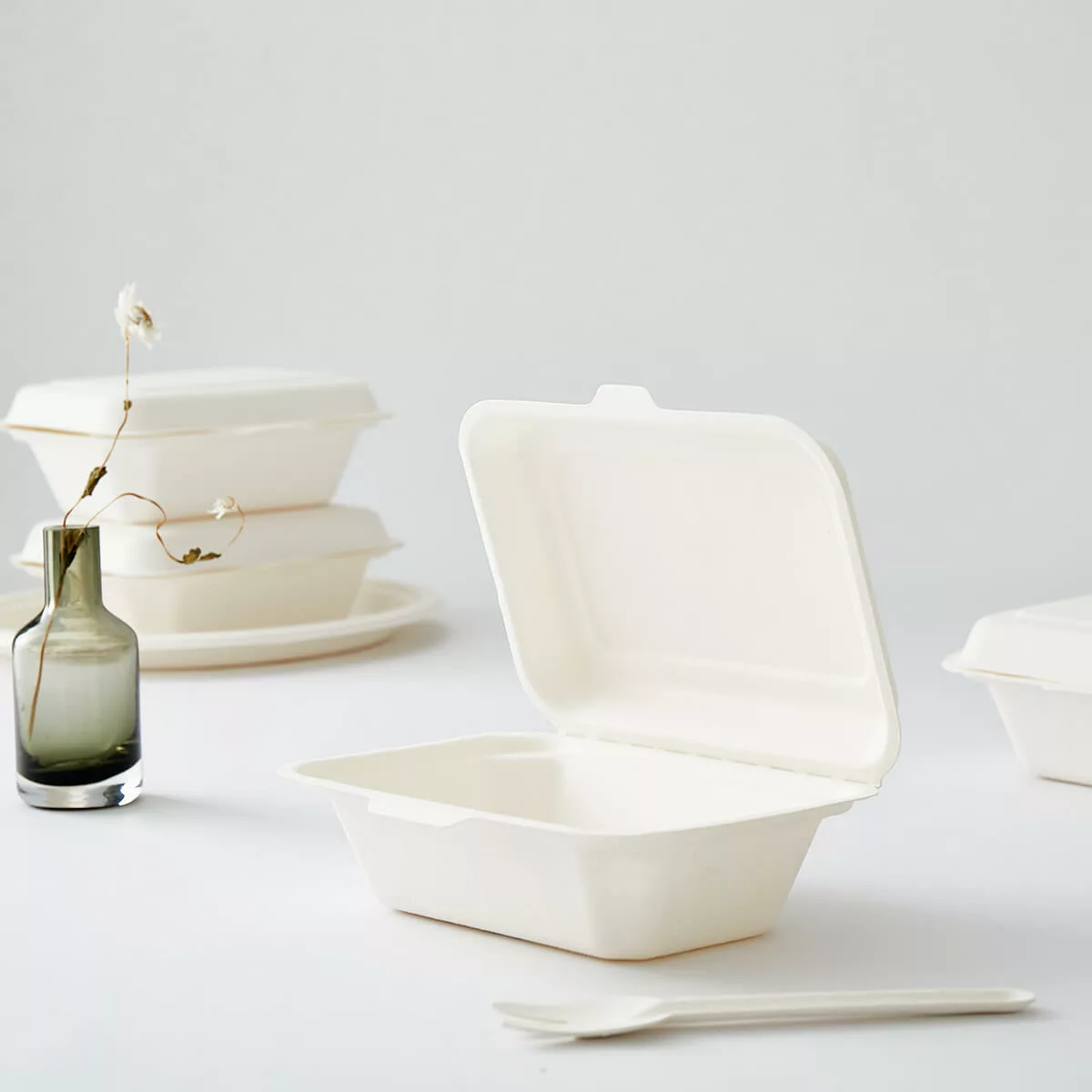 White Compostable Sugarcane Bagasse Hinged Lid Takeout Container