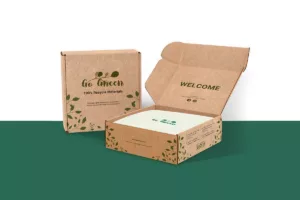 eco-friendly kraft mailer box