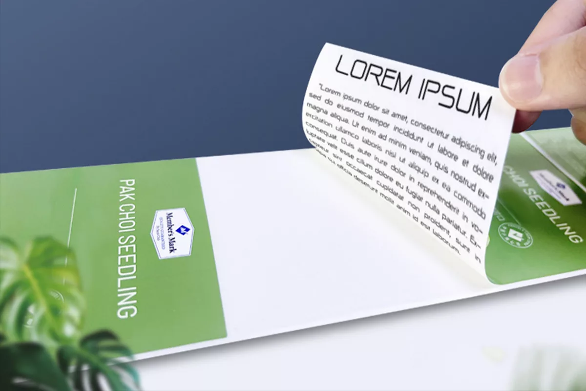 double window sticker